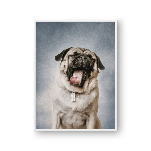 College Yearbook Style Pet Portrait