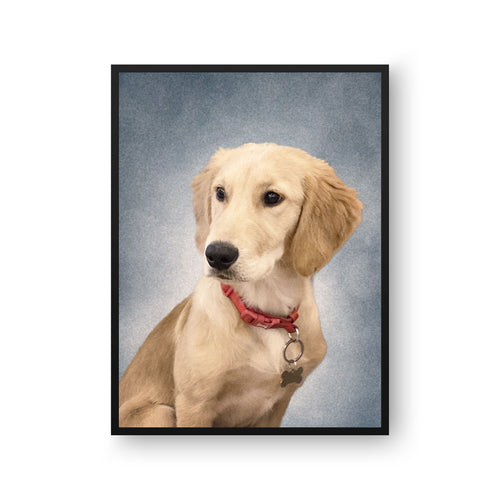 College Yearbook Style Pet Portrait