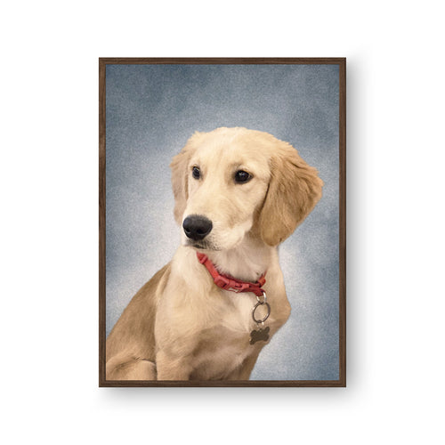 College Yearbook Style Pet Portrait