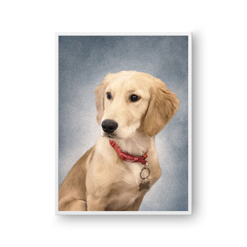 College Yearbook Style Pet Portrait
