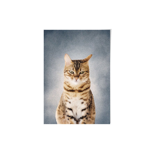 College Yearbook Style Pet Portrait