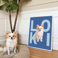 Contemporary Pet Portrait