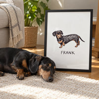 Crayon Doodle Pet Portrait