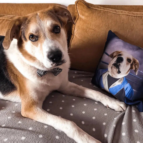 Crown and Paw - Throw Pillow The Boxer - Custom Throw Pillow