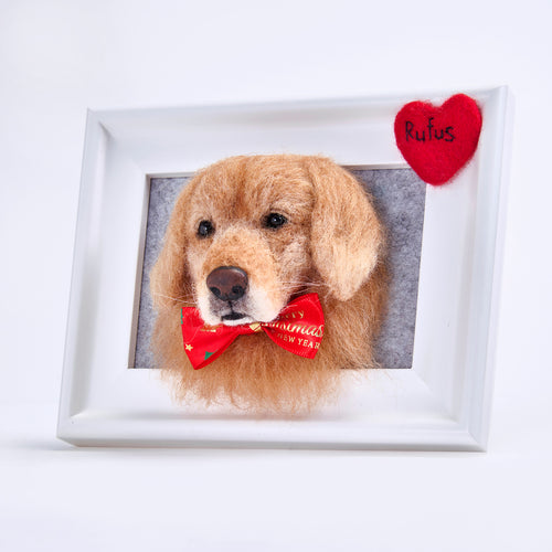 Handmade 3D Pet Face in Frame