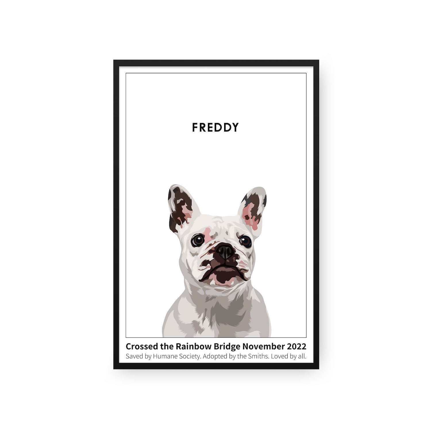 Humane Society International™ Modern Pet Portrait - One Pet