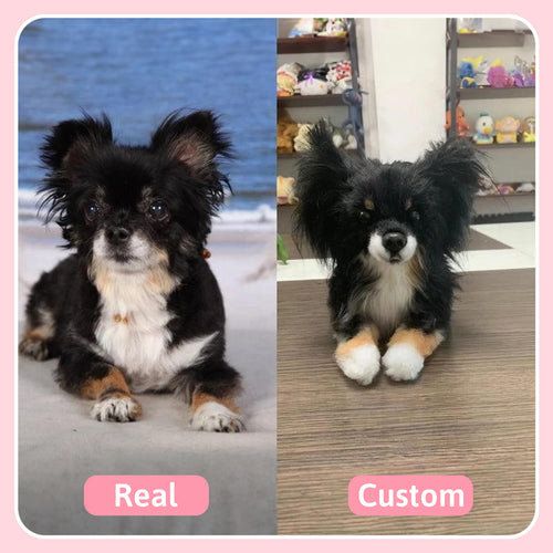 Custom Pet Lifelike Replica - Stuffed Clone of Your Pet