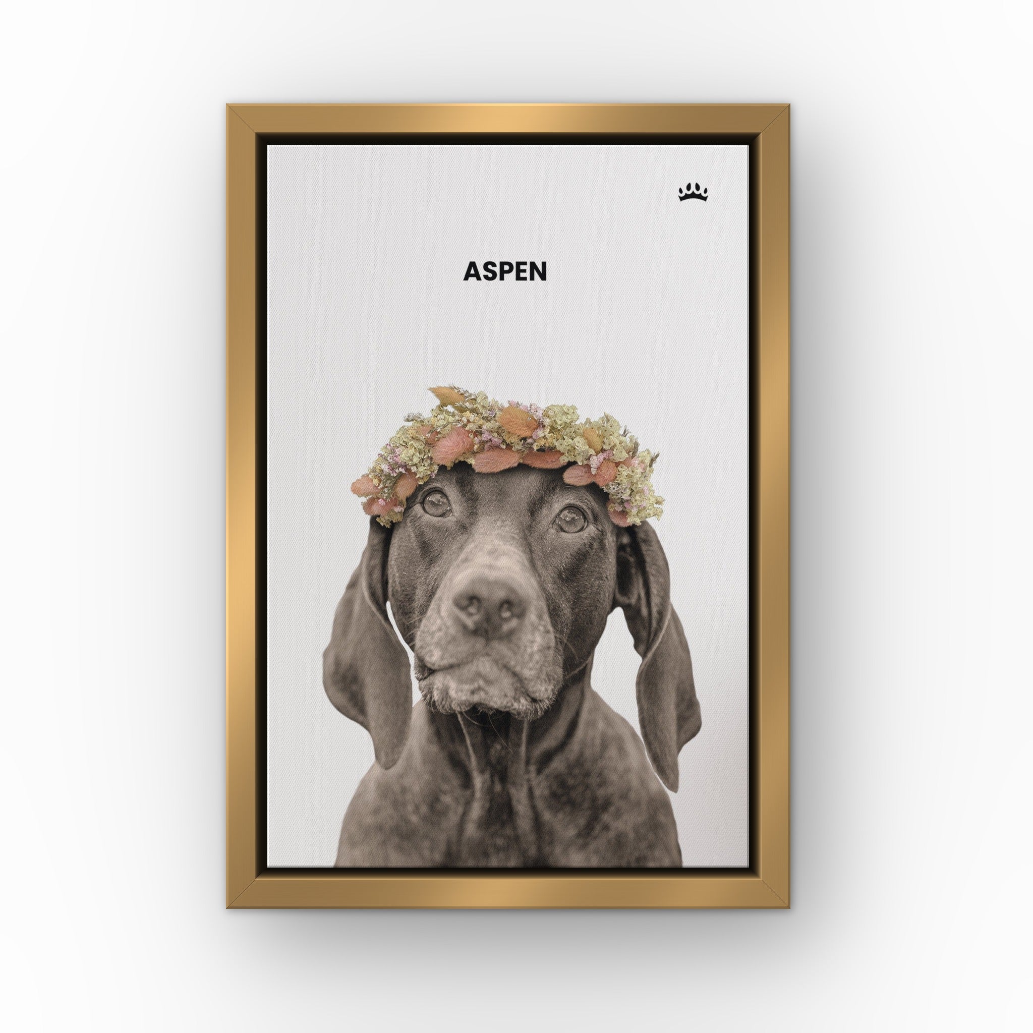 Dried Out Pet Portrait (white) custom pet canvas in a gold floating frame