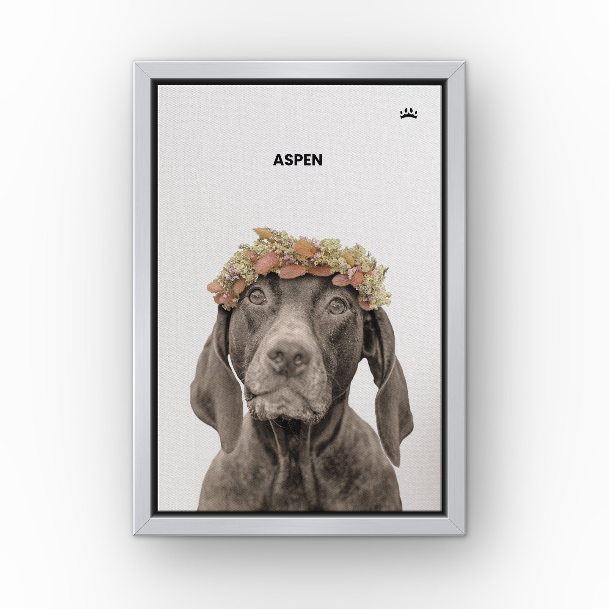 Dried Out Pet Portrait (white) custom pet canvas in a silver floating frame