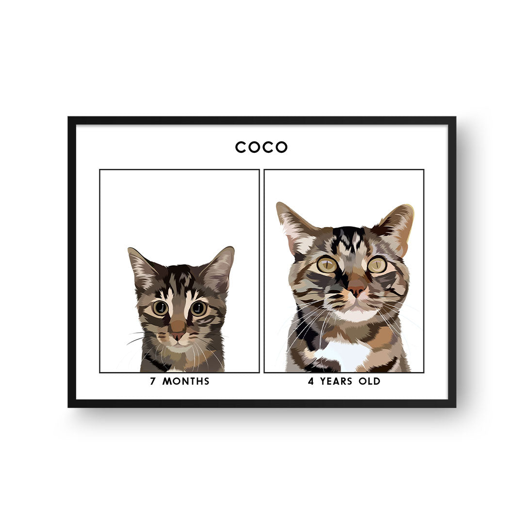 Kitten to Adult Cat Portrait