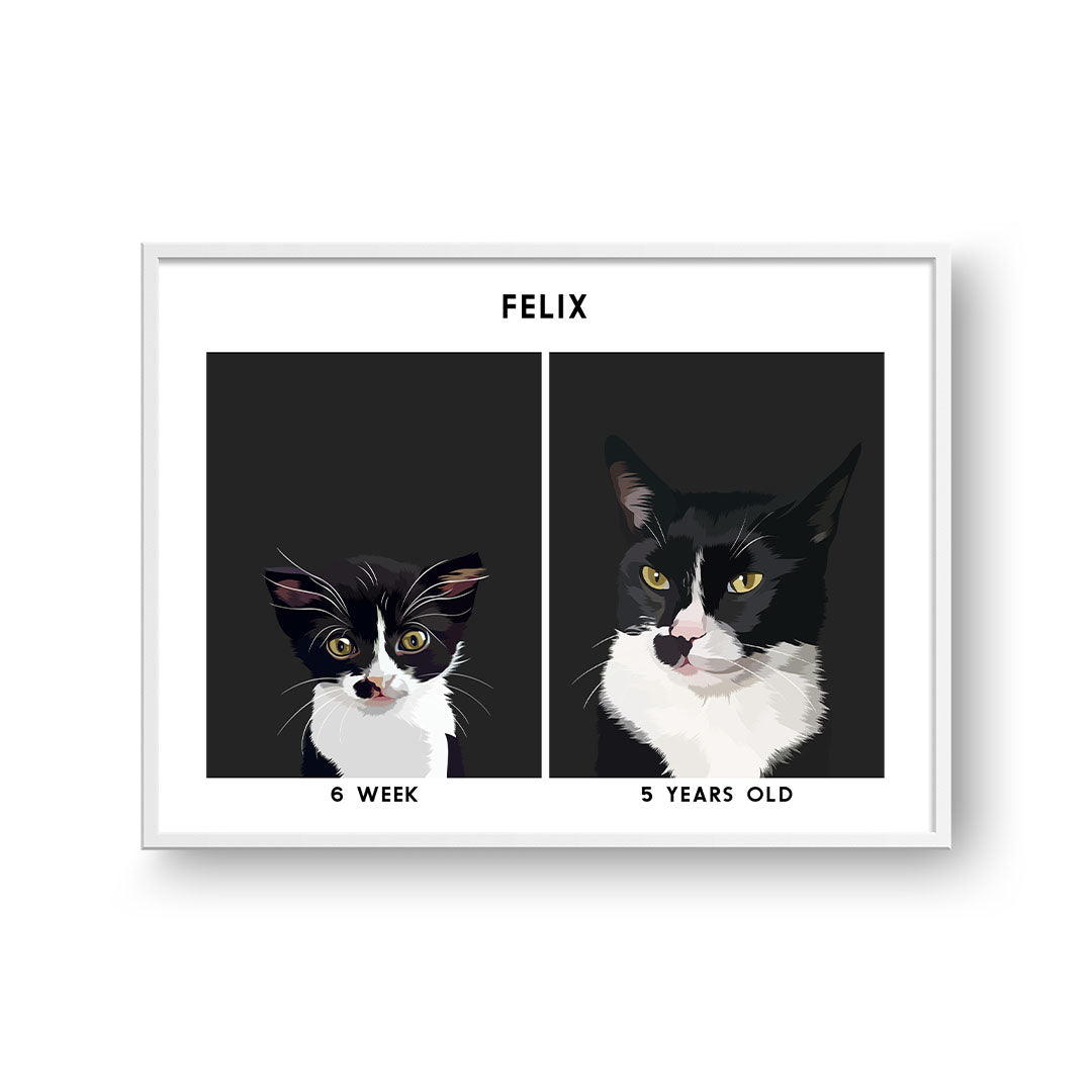 Kitten to Adult Cat Portrait