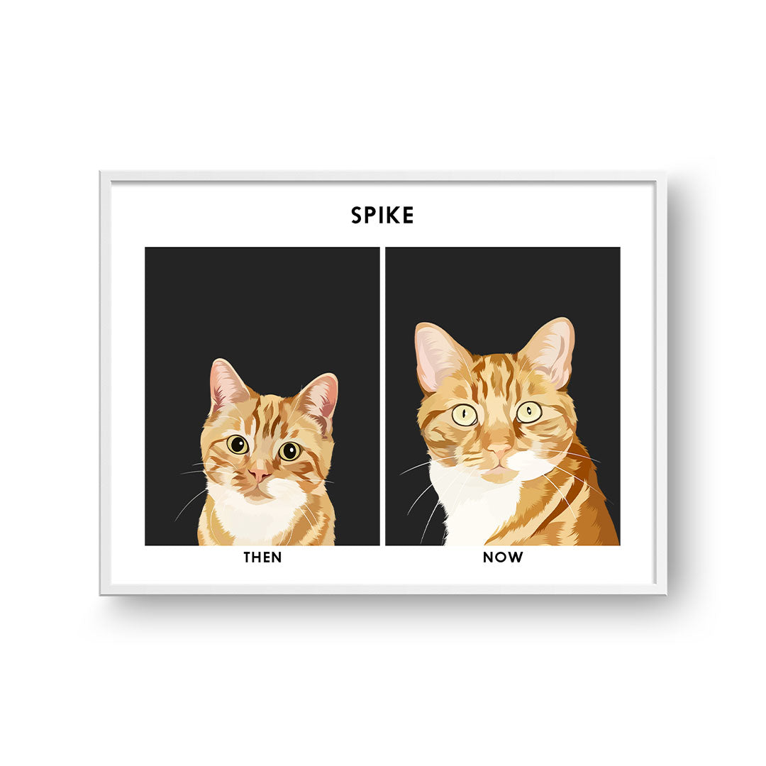 Kitten to Adult Cat Portrait