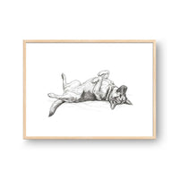 Belly Up Sleeping Pet Portrait