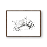 Belly Up Sleeping Pet Portrait