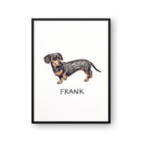 Crayon Doodle Pet Portrait