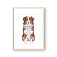 Bow Tied Pet Portrait
