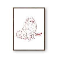 Minimalist Pet Portrait