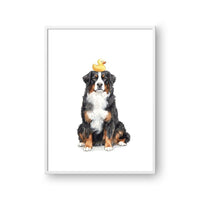 Rubber Ducky Pet Portrait
