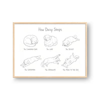 Sleeping Poses Portrait