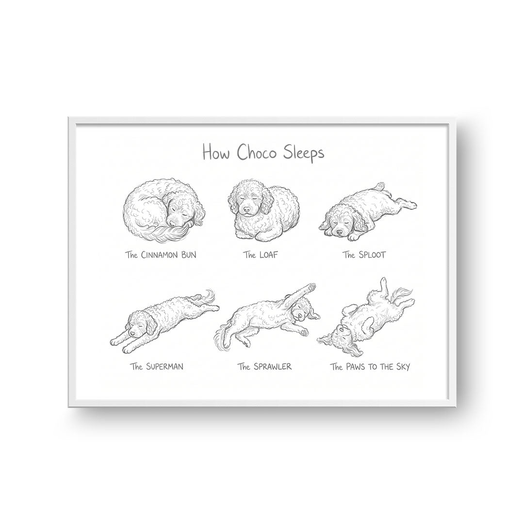 Sleeping Poses Portrait