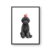 Balancing Apple Pet Portrait