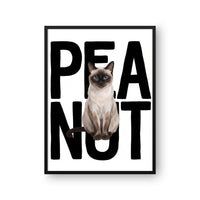 Contemporary Pet Portrait