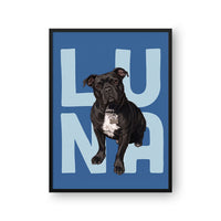 Contemporary Pet Portrait