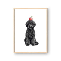 Balancing Apple Pet Portrait