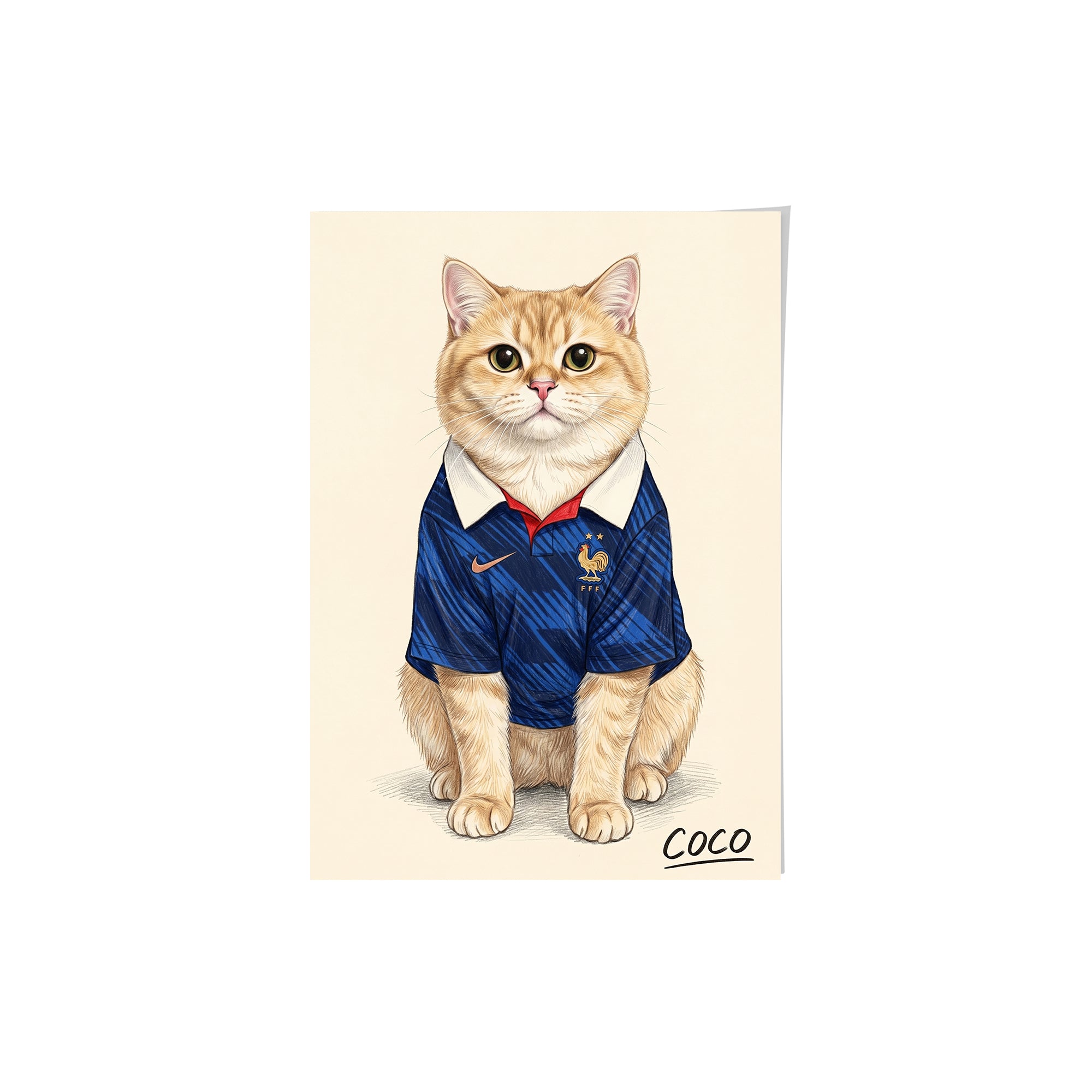 World Cup 2026 Pet Portrait