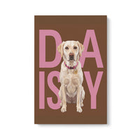 Contemporary Pet Portrait