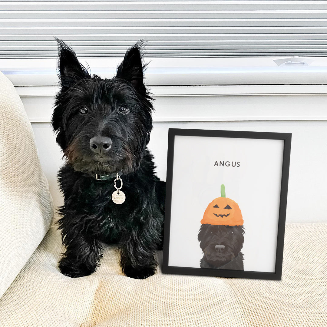 Halloween Pet Portrait - One Pet