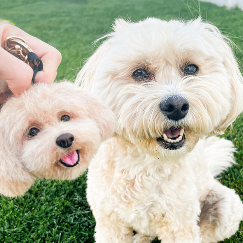 Handmade Pet Face Keychain From Photos