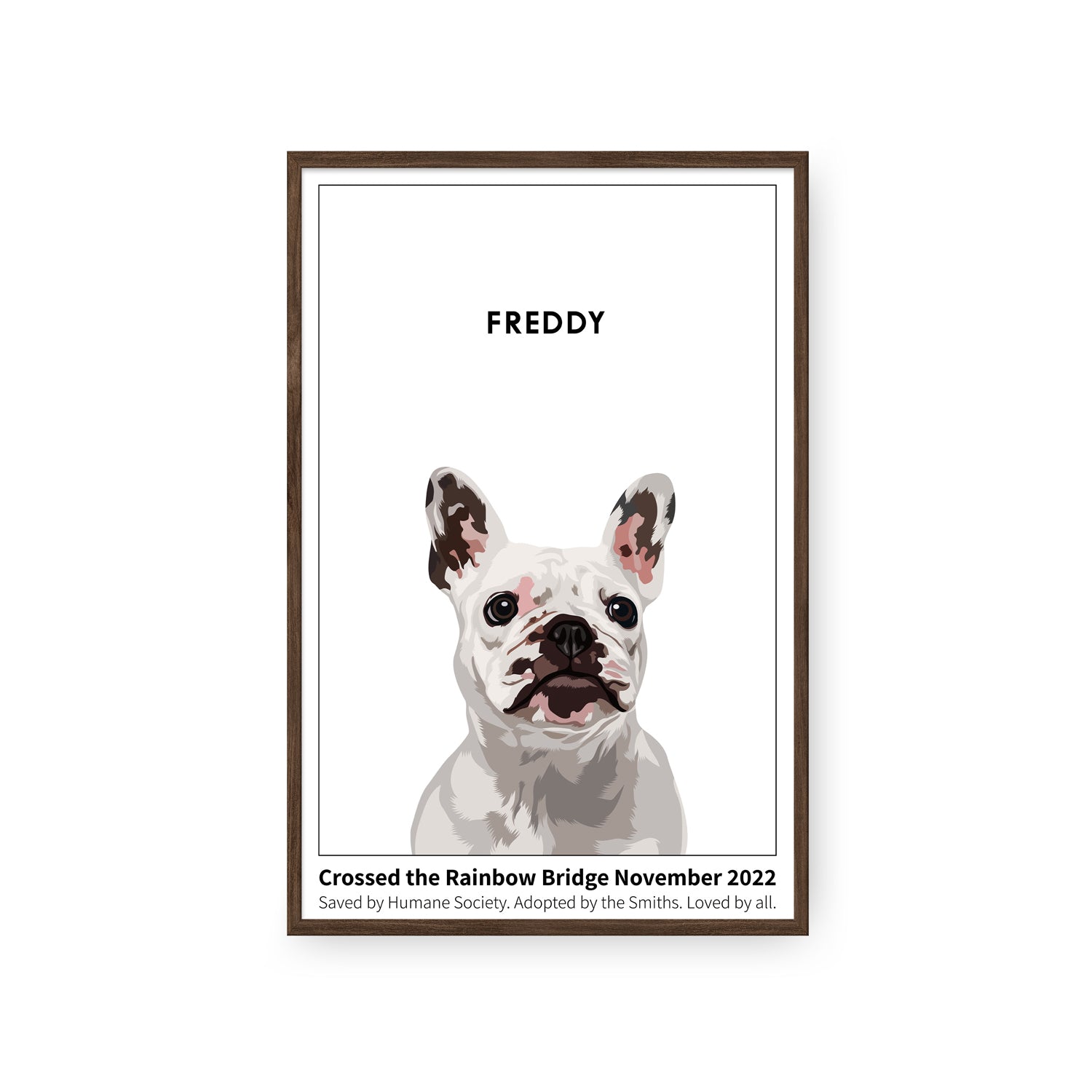 Humane Society International™ Modern Pet Portrait - One Pet