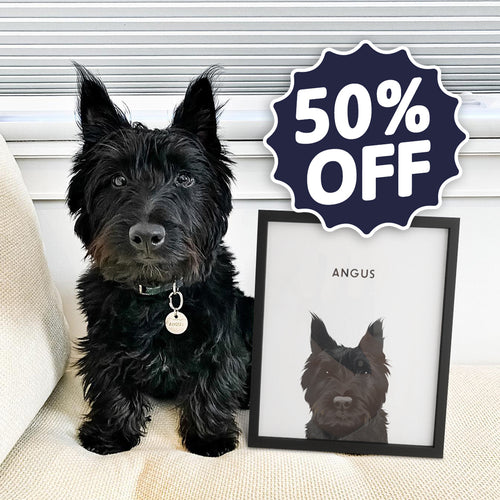 Modern Pet Portrait (50% Off) - One Pet