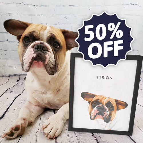 Modern Pet Portrait (50% Off) - One Pet