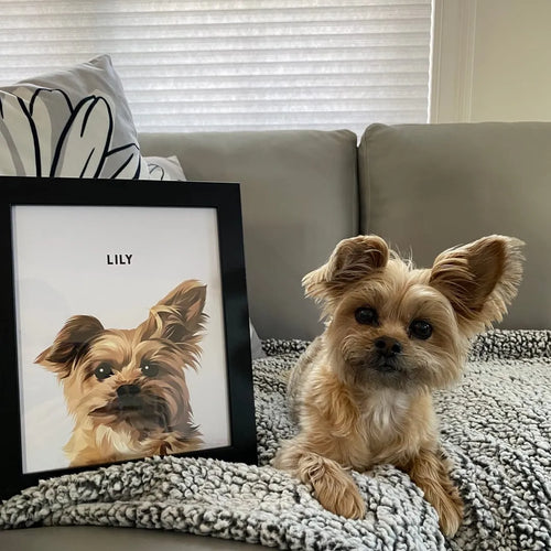 Modern Pet Portrait - One Pet