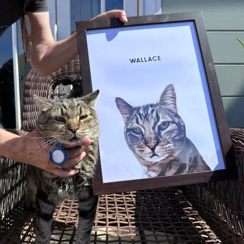 Modern Pet Portrait - One Pet