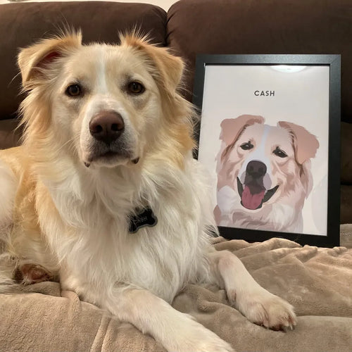 Modern Pet Portrait - One Pet