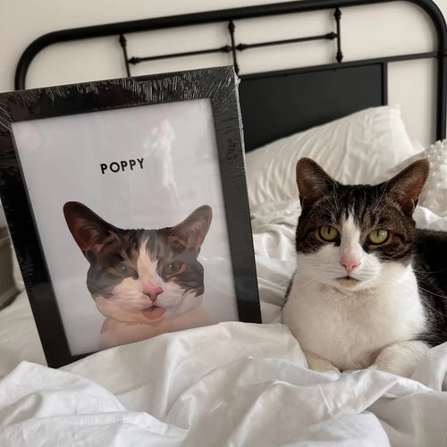 Modern Pet Portrait - One Pet