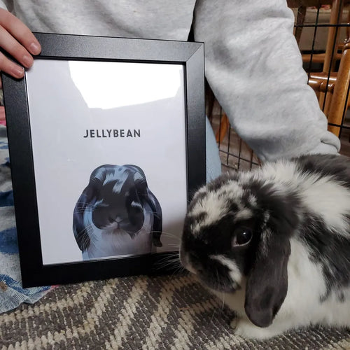 Modern Pet Portrait - One Pet