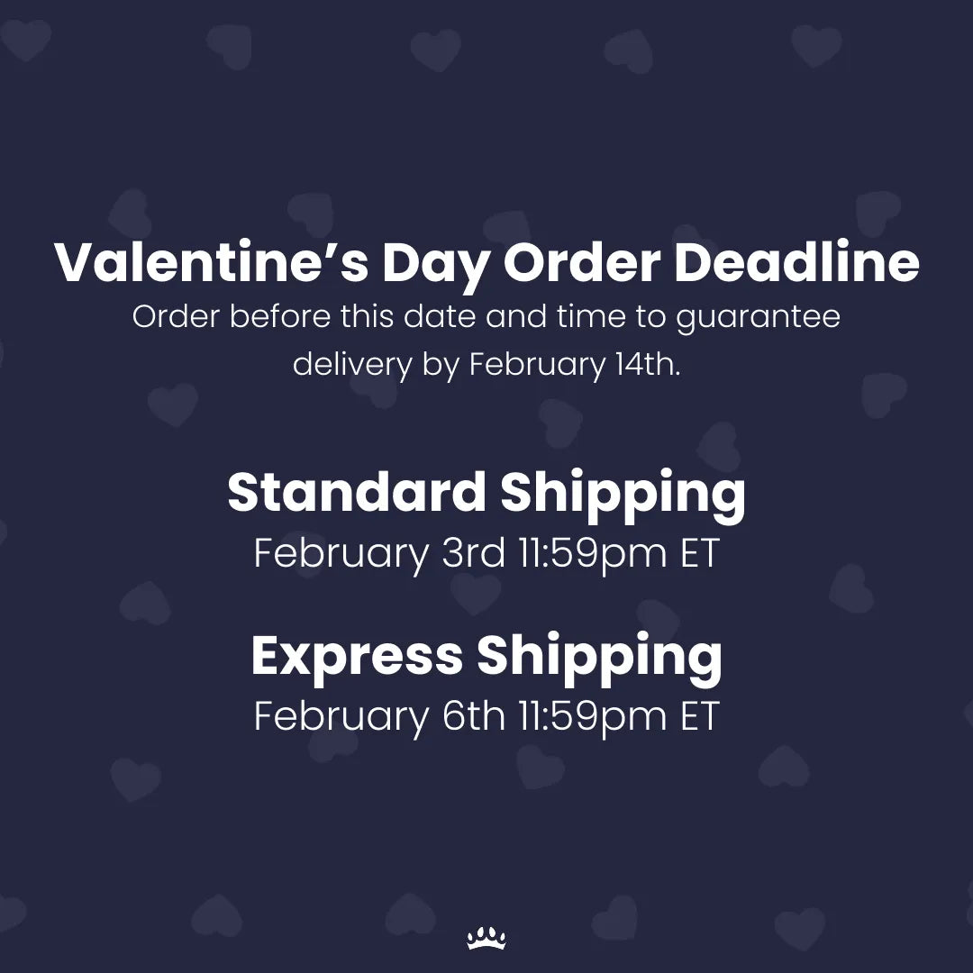 Modern Pet Portrait - Two Pets