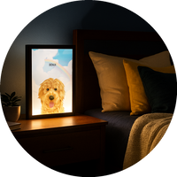 Night Light