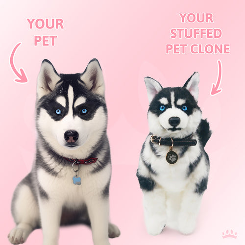 Custom Pet Lifelike Replica - Stuffed Clone of Your Pet