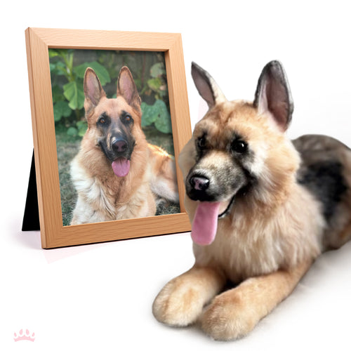 Custom Pet Lifelike Replica - Stuffed Clone of Your Pet