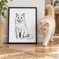 Sketched Portrait