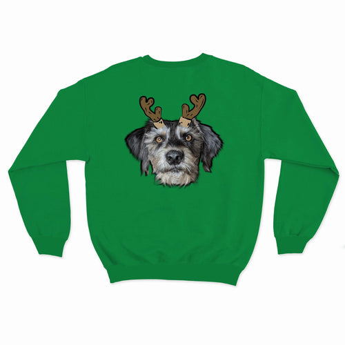 Crown and Paw - Custom Clothing Novelty Pet Face Christmas Sweatshirt Festive Green / Reindeer Antlers / S
