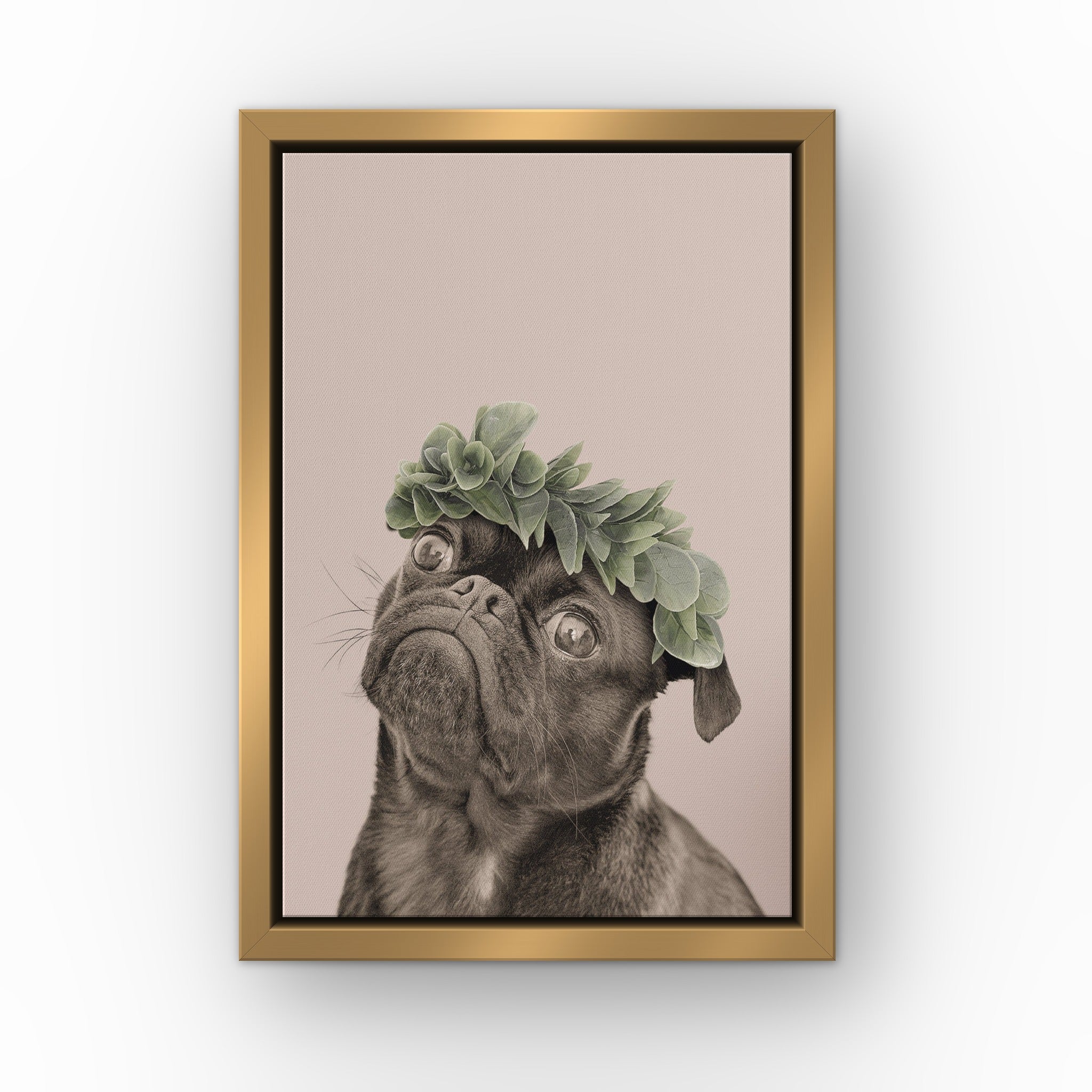 Roman Crown Pet Portrait (soft pink) custom pet canvas in a gold floating frame