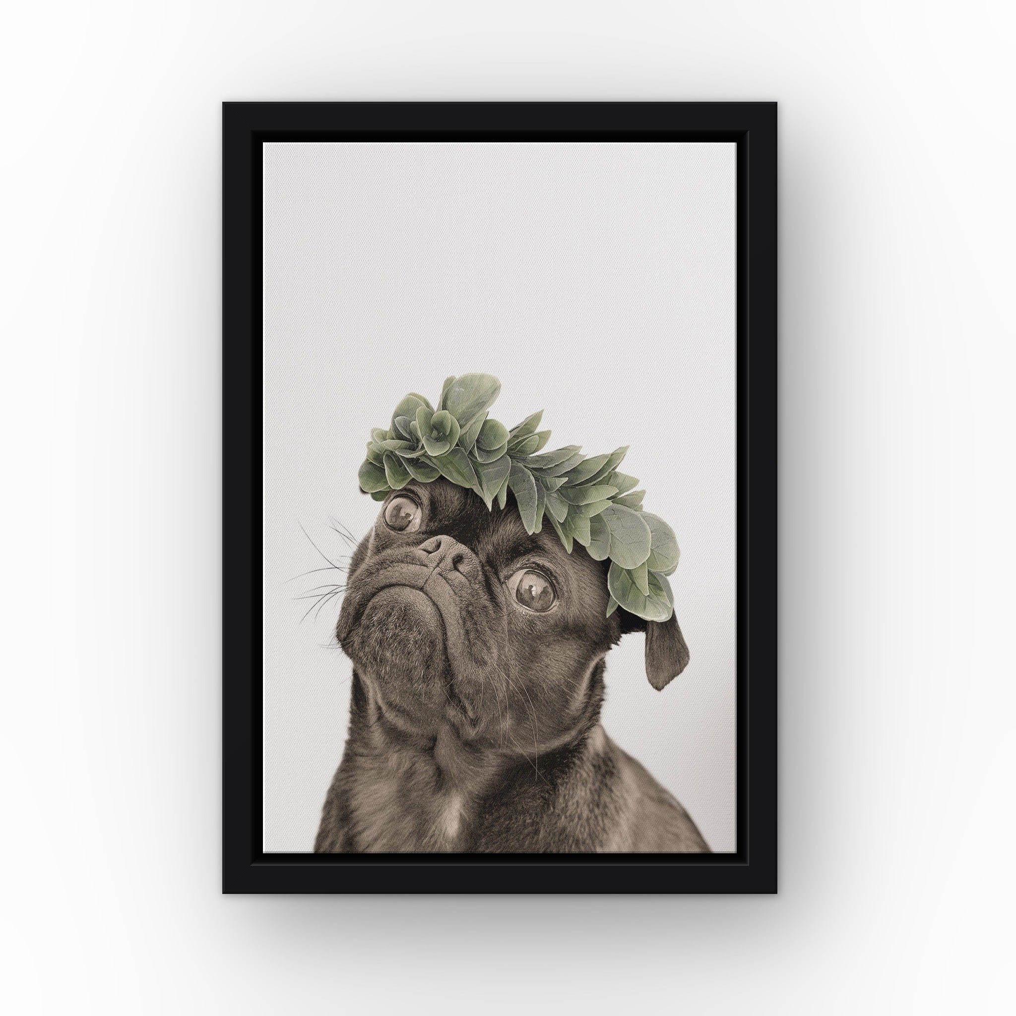 Roman Crown Pet Portrait (white) custom pet canvas in a black floating frame