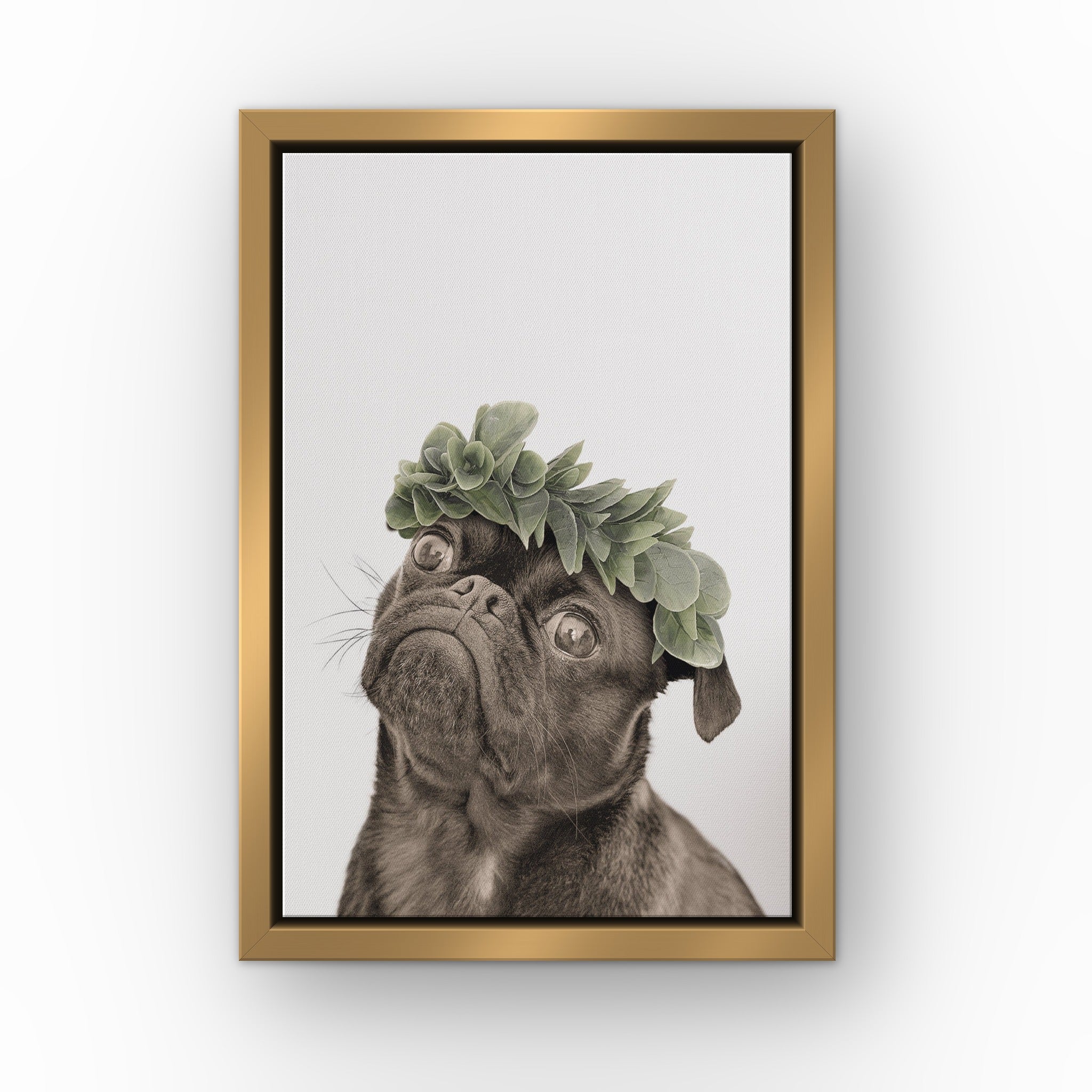 Roman Crown Pet Portrait (white) custom pet canvas in a gold floating frame