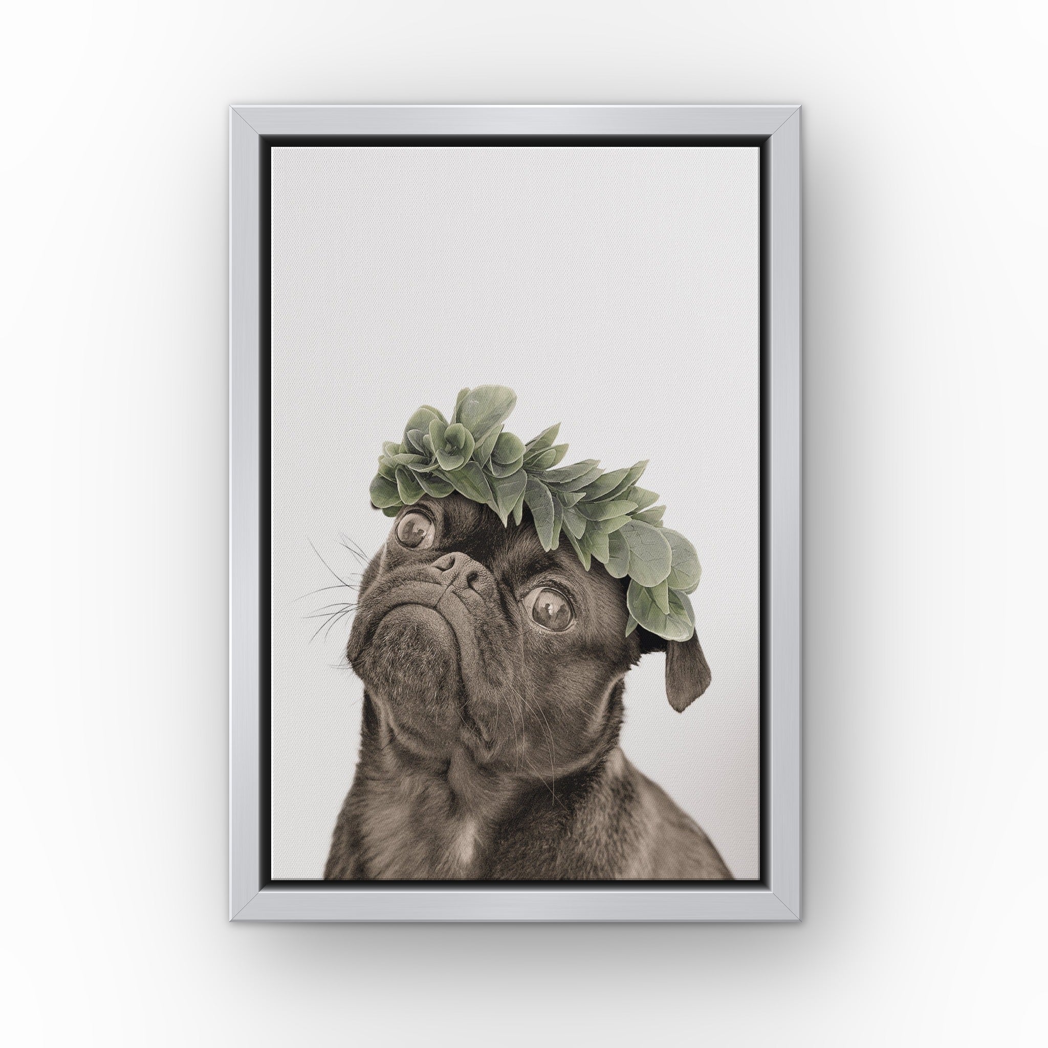 Roman Crown Pet Portrait (white) custom pet canvas in a silver floating frame